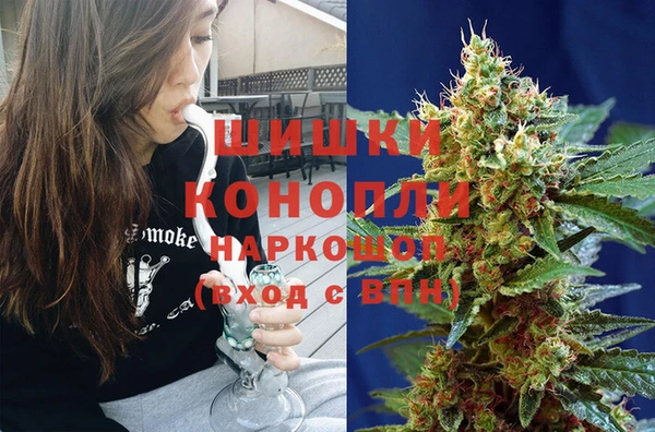 прущие грибы Заволжск