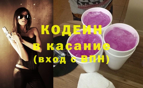 прущие грибы Заволжск