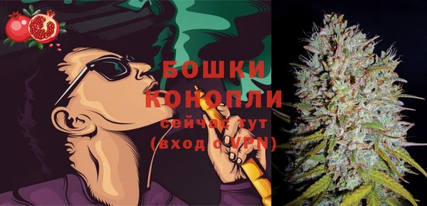 дживик Заводоуковск