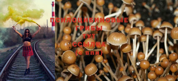 соль курить ск Елабуга