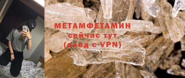 прущие грибы Заволжск