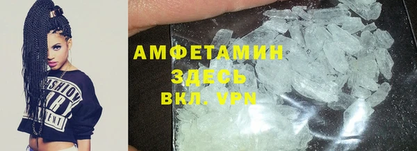 прущие грибы Заволжск